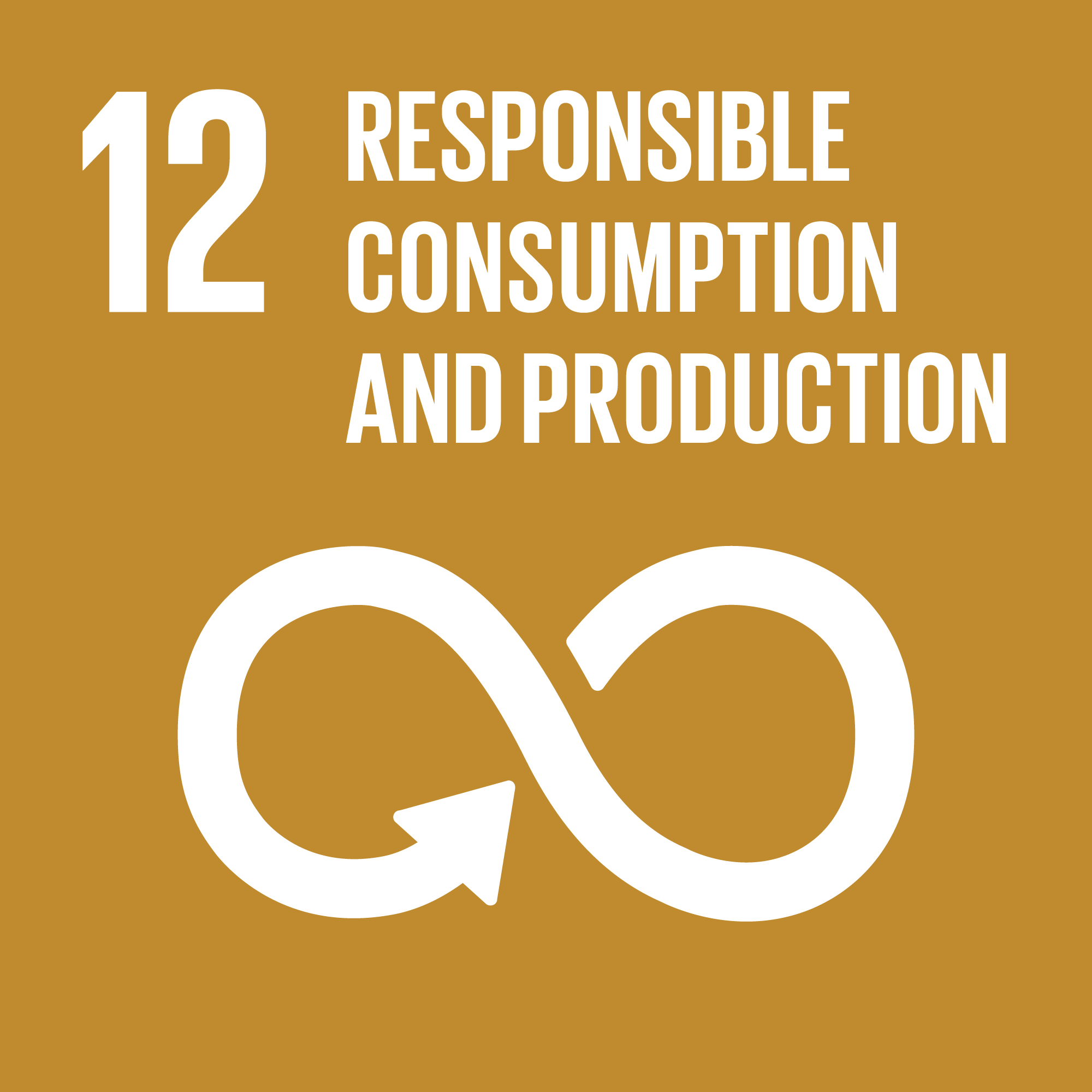 Goal 12: Responsible Consumption and Production