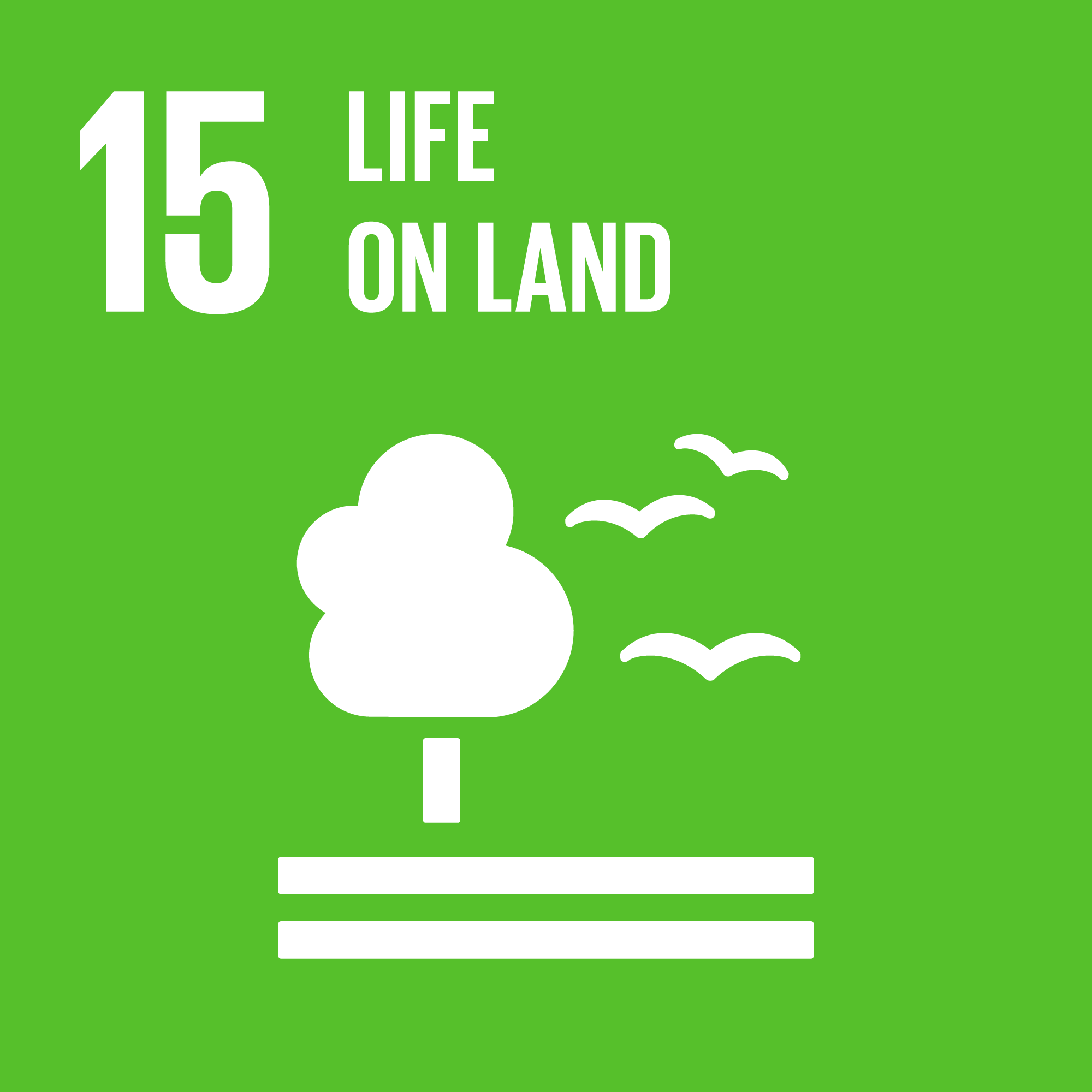 Goal 15: Life on Land