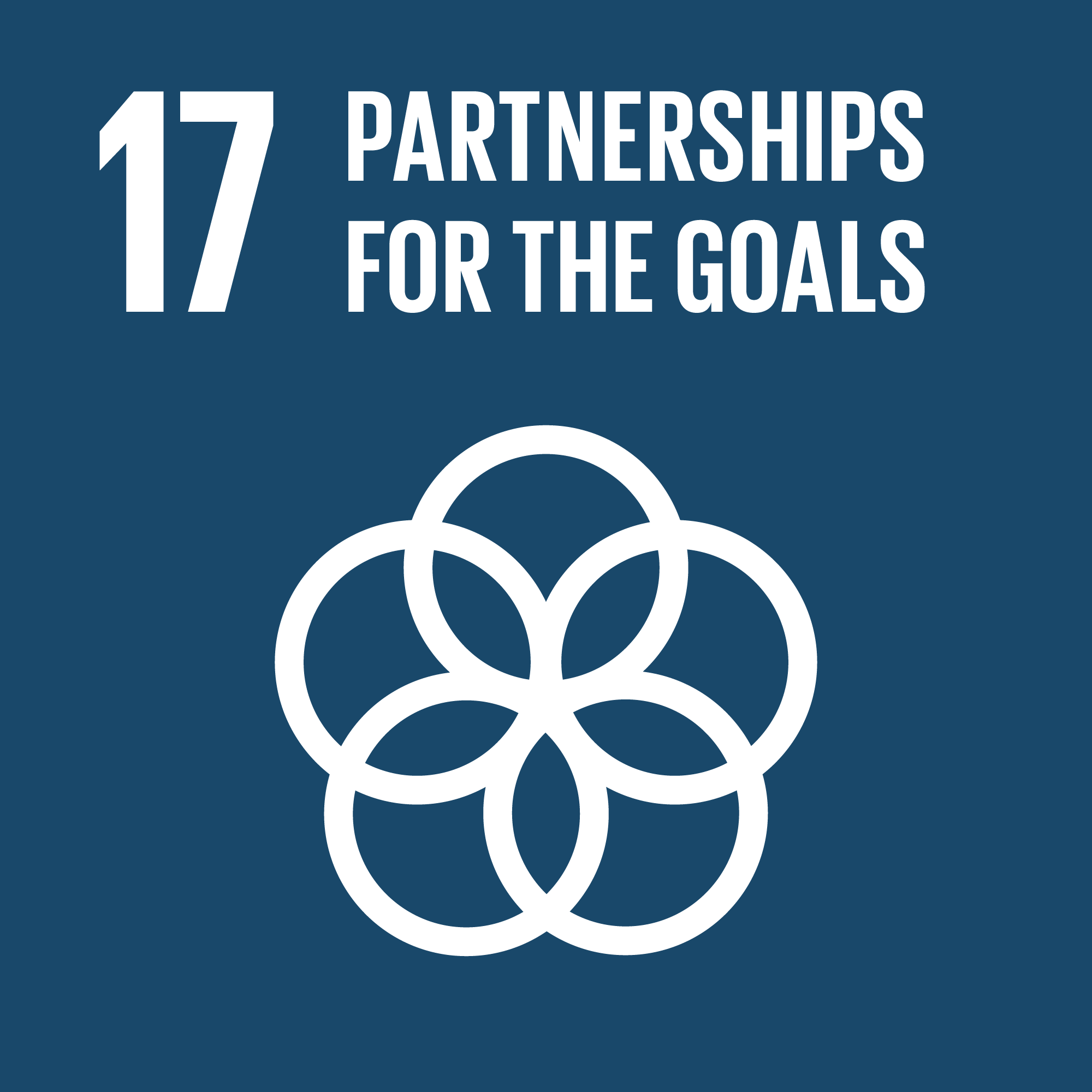 Goal 17: Partnerships to achieve the Goal