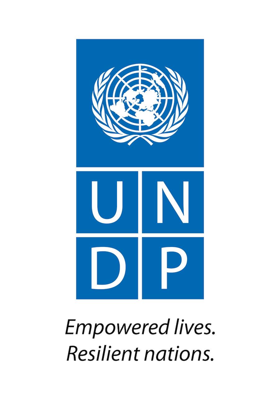 UNDP logo